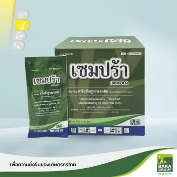 เซมปร้า