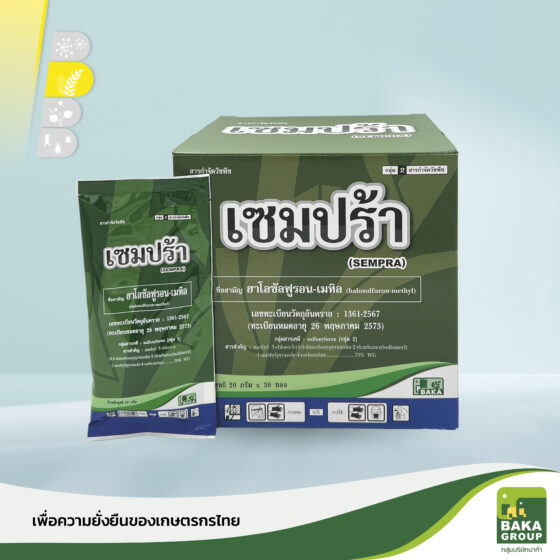 เซมปร้า