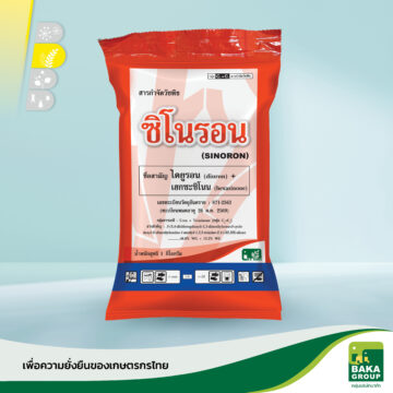 ซิโนรอน