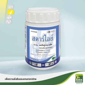 สตาร์ไลย์