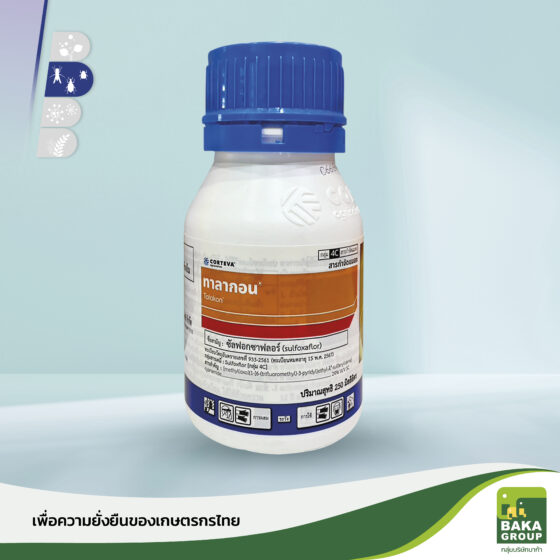 ทาลากอน