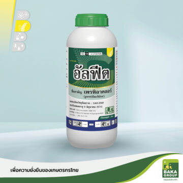 อัลฟีต