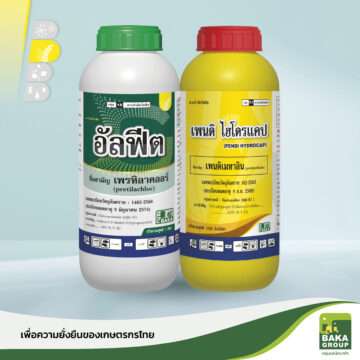 อัลฟีต + เพนดิ ไฮโดรแคป