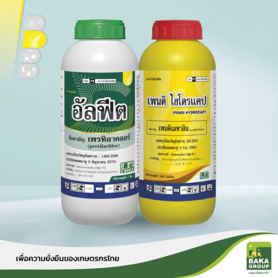 อัลฟีต + เพนดิ ไฮโดรแคป
