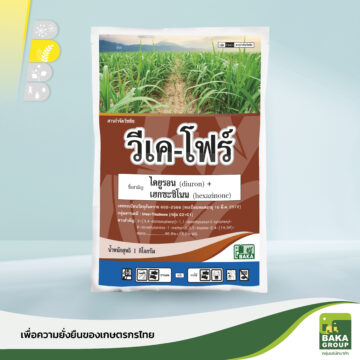 วีเค-โฟร์