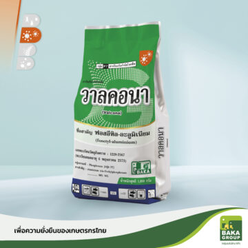 วาลคอนา