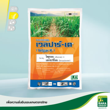 เวลปาร์-เค
