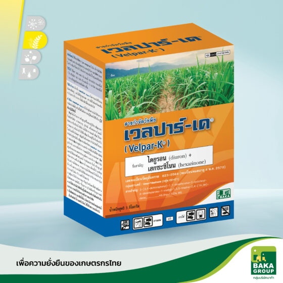 เวลปาร์-เค - Image 2