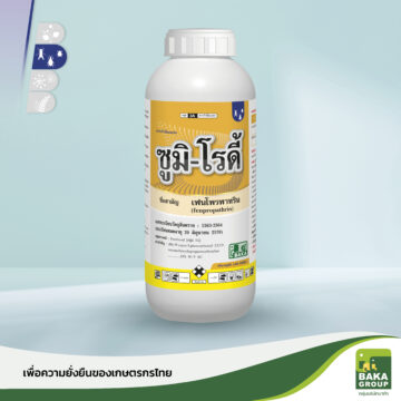 ซูมิ-โรดี้