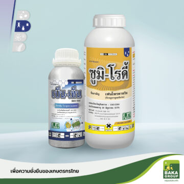 ซูมิ-โรดี้ + เบ็นเท็น