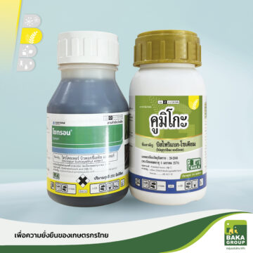 ไซทรอน + คูมิโกะ